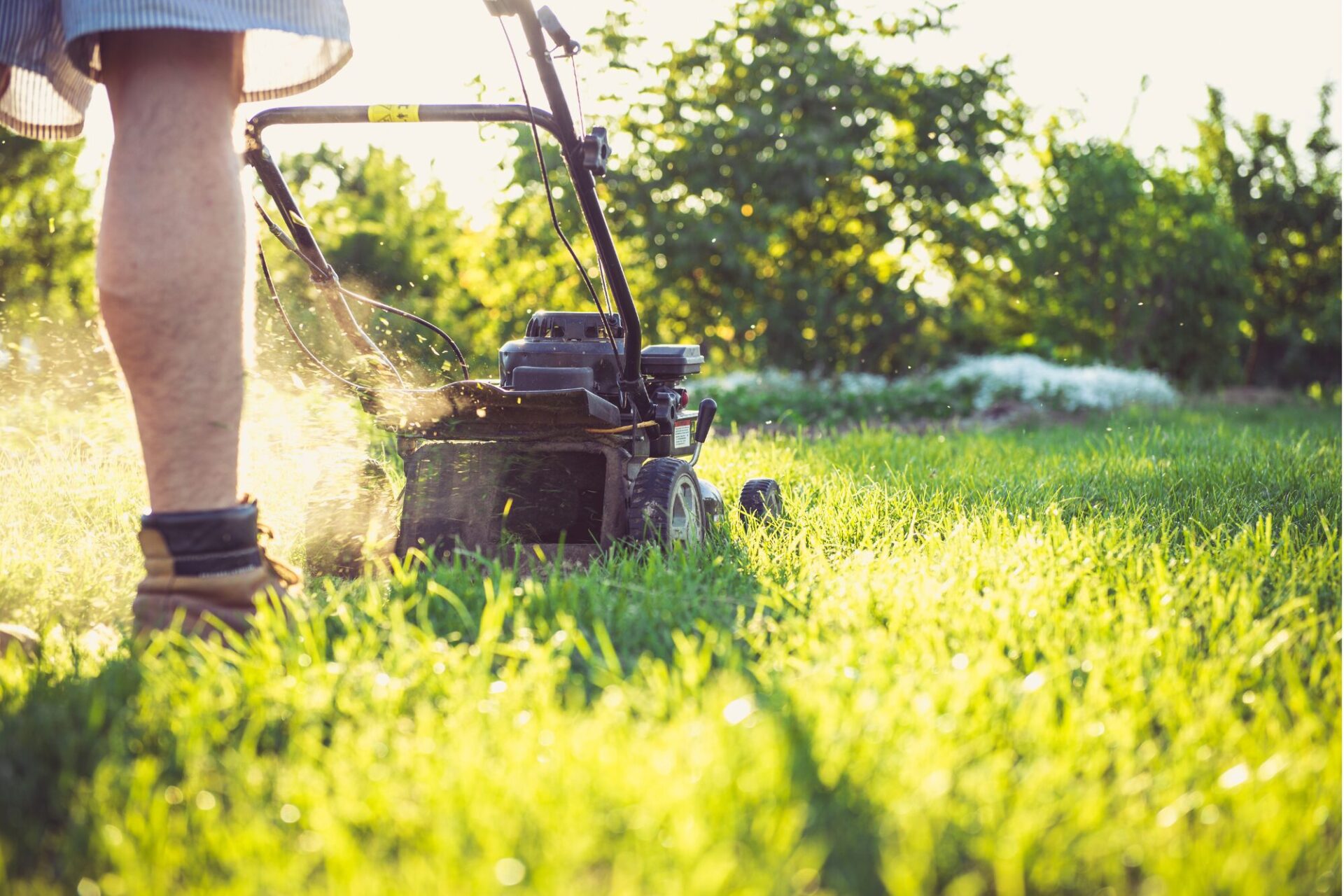 Hollerer-Dienstleistungen - Gartenpflege